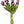 Load image into Gallery viewer, Tulip Bunches