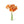 Load image into Gallery viewer, Ranunculus Bunch