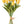 Load image into Gallery viewer, Tulip Bunches