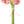 Load image into Gallery viewer, Ranunculus Bunch