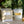 Load image into Gallery viewer, Amelie et Melanie Candle