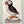Load image into Gallery viewer, Mary Lake-Thompson Flour Sack Tea Towel