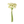 Load image into Gallery viewer, Ranunculus Bunch