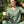Load image into Gallery viewer, Lime Tree Cotton Block Print Pajamas