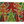 Load image into Gallery viewer, Doormat