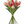 Load image into Gallery viewer, Tulip Bunches