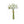 Load image into Gallery viewer, Ranunculus Bunch