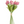 Load image into Gallery viewer, Tulip Bunches