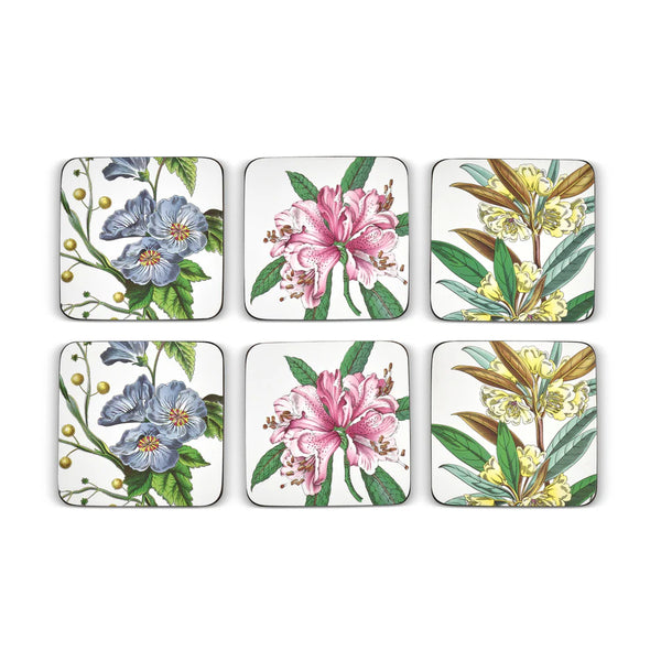 Pimpernel Set of 6 Coasters