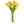 Load image into Gallery viewer, Tulip Bunches