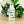 Load image into Gallery viewer, Multi Fish Water Bottle