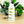 Load image into Gallery viewer, Multi Fish Water Bottle