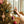 Load image into Gallery viewer, Thymes Frasier Fir Christmas Tree Spray