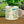 Load image into Gallery viewer, Golf Guide Mug