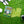 Load image into Gallery viewer, Golf Trivia