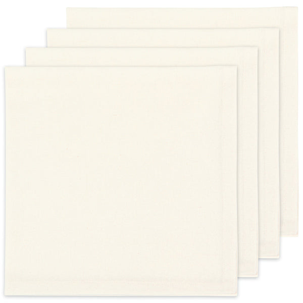 Spectrum Napkins Set of 4