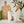 Load image into Gallery viewer, Wrendale Utensil Jar