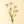 Load image into Gallery viewer, Mini Chrysanthemum
