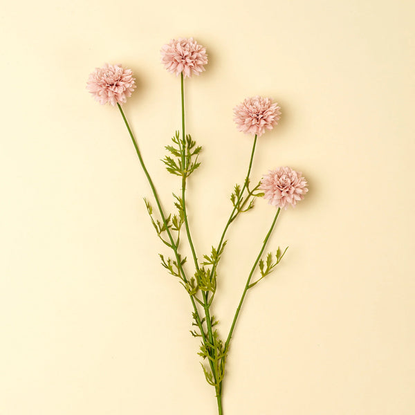 Mini Chrysanthemum
