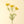 Load image into Gallery viewer, Queen Anne's Lace Spray
