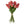 Load image into Gallery viewer, Tulip Bunches

