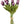 Load image into Gallery viewer, Tulip Bunches
