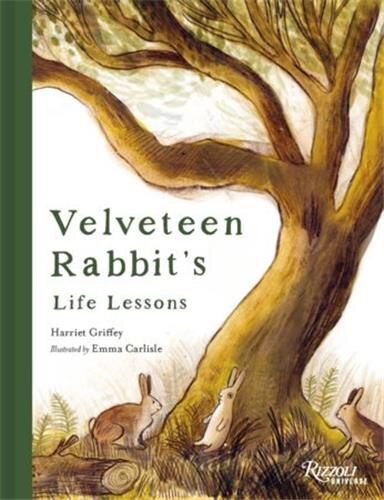 Velveteen Rabbit's Life Lessons