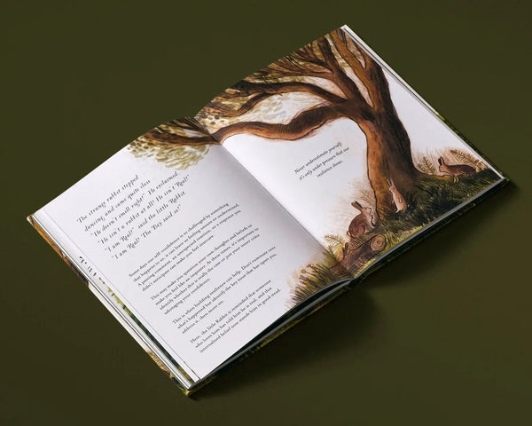 Velveteen Rabbit's Life Lessons