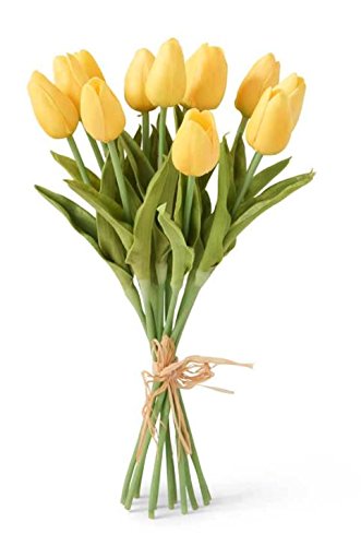 Tulip Bunches
