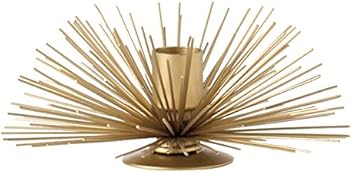 Spike Pod Candle Holder