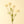 Load image into Gallery viewer, Mini Chrysanthemum
