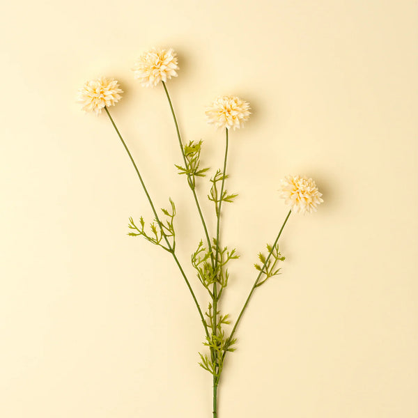 Mini Chrysanthemum