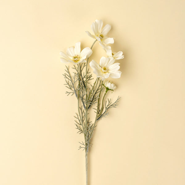 Cosmos Spray