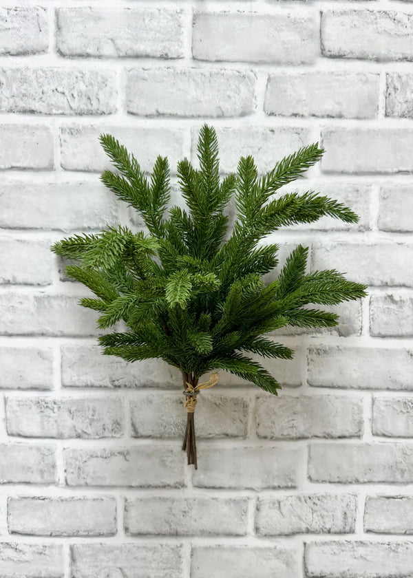 Spruce Bundle, Set of 5