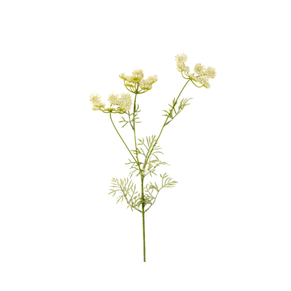 Queen Anne's Lace Spray