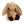 Load image into Gallery viewer, Bashful Bunny
