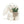Load image into Gallery viewer, Cream Bunny with Plant
