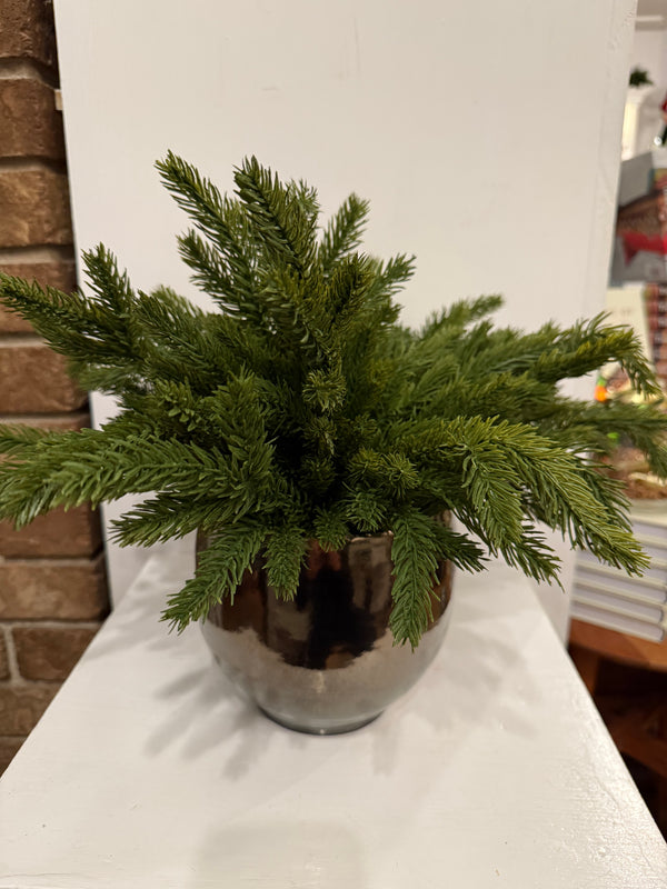 Spruce Bundles in Gold Pot