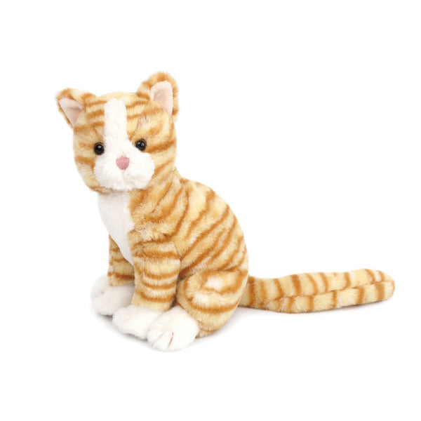 Chichi Kitty