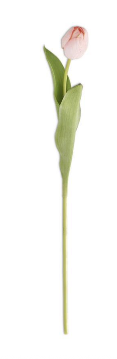 Silk Real Touch Single Tulip Stem