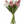 Load image into Gallery viewer, Tulip Bunches
