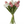 Load image into Gallery viewer, Tulip Bunches
