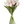 Load image into Gallery viewer, Tulip Bunches
