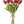 Load image into Gallery viewer, Tulip Bunches
