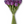 Load image into Gallery viewer, Tulip Bunches
