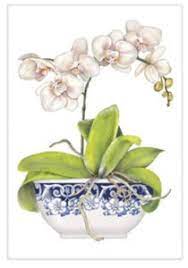 Mary Lake-Thompson Flour Sack Tea Towel