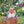 Load image into Gallery viewer, Wrendale Robin Medium Plush Adele
