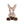 Load image into Gallery viewer, Wrendale Donkey Medium Plush Jack
