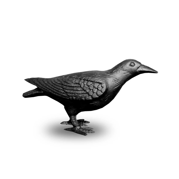 Cast Iron Crow "Head Up"